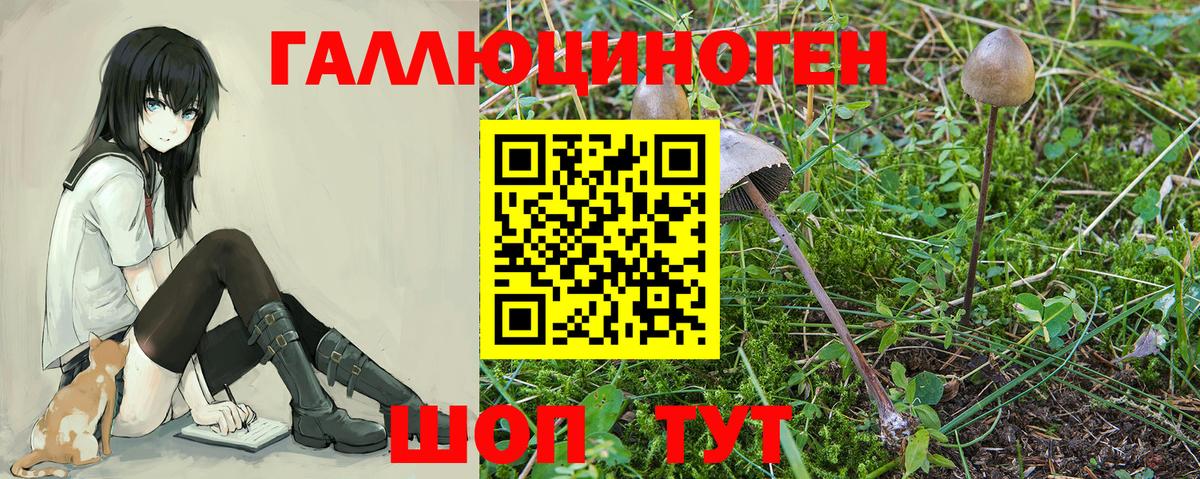 Псилоцибиновые грибы Magic Shrooms  Вход с VPN  Ликино-Дулёво  Псилоцибиновые грибы Magic Shrooms 